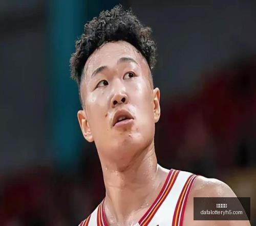 年战绩分析,小时深入研,究背后的秘,大发彩神,彩票平台,在线投注,高频彩票,彩票服务