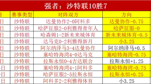 维拉新援拉什福德首秀引球迷狂热追捧，球队状态出色