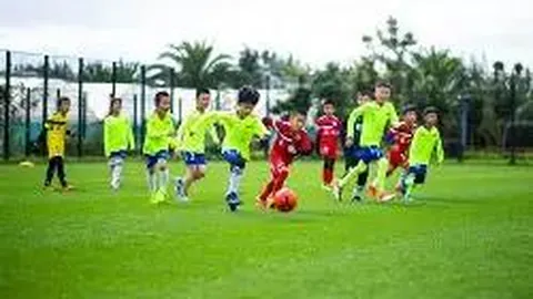 水晶宫持续选拔新帅，霍奇森留任期望依旧